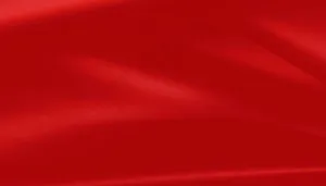 红底子图片