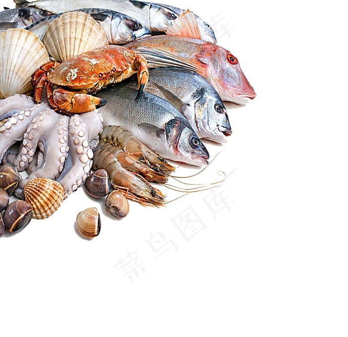 海鲜图片psd模版下载