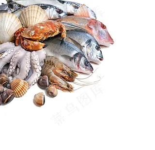 海鲜图片