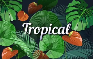 植物花卉背景图片