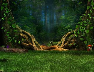 手绘原始森林图片