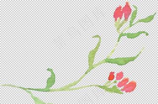 水彩鲜花图片
