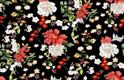 花图片 花图片