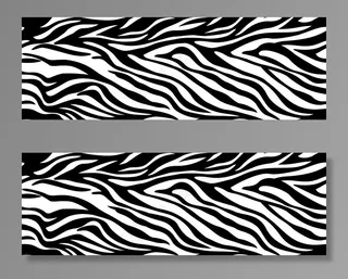 豹纹女装 斑马纹图片