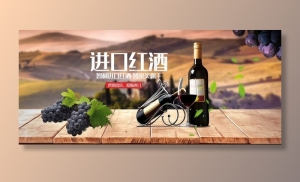 进口红酒图片