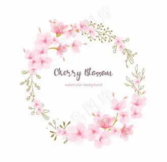 花卉卡片图片 花卉卡片图片