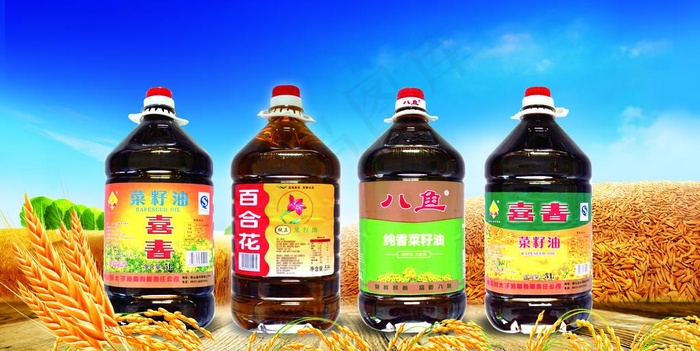 陕西军粮 海报  背景  食油图片(5906X3150(DPI:100))psd模版下载