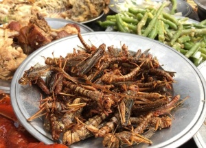 油炸蚂蚱图片