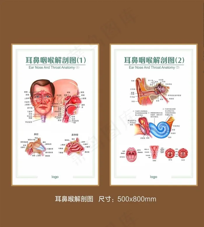 耳鼻喉诊室图片cdr矢量模版下载