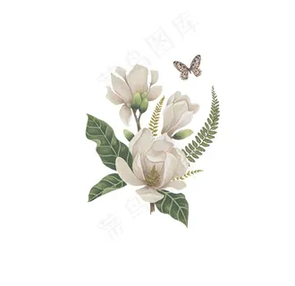 手绘花草 牡丹花园 元素素材图片