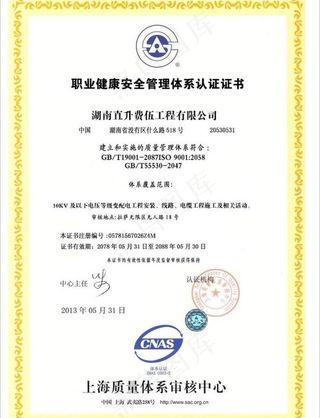 职业健康体系认证图片