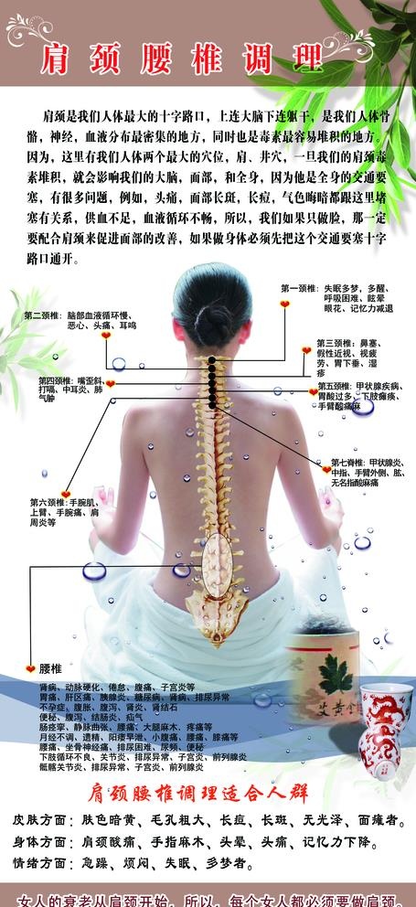 肩颈图片