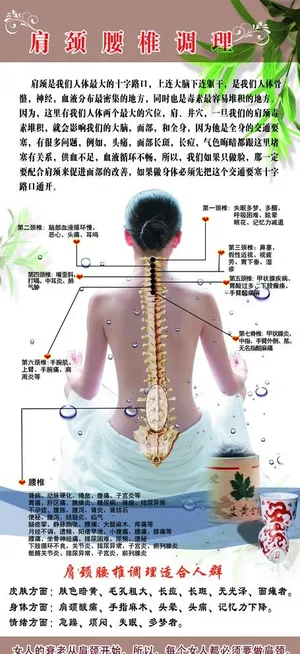 肩颈图片