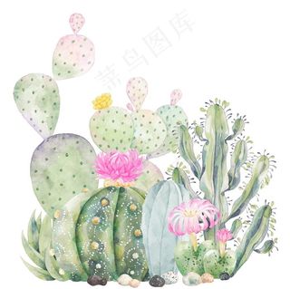 手绘卡通仙人掌图片