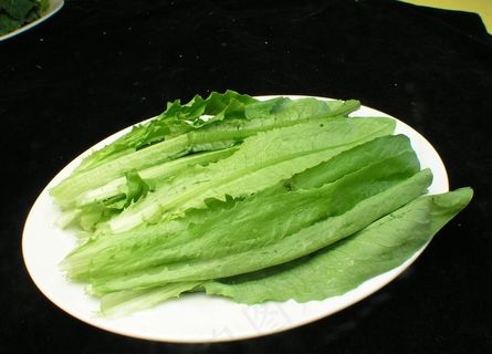 油麦菜图片 油麦菜图片