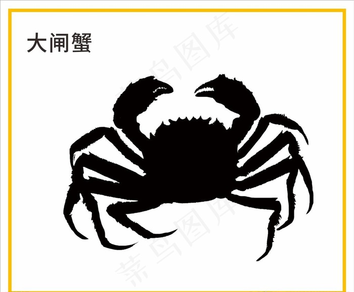 大闸蟹图片