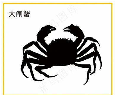大闸蟹图片