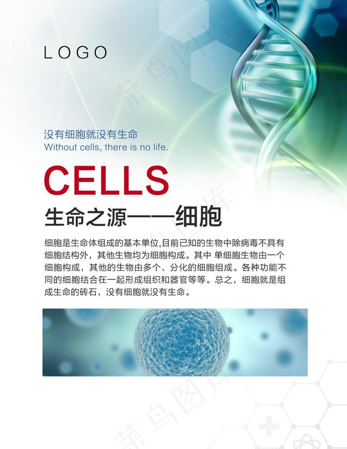 细胞图片(3543X4724(DPI:150))psd模版下载