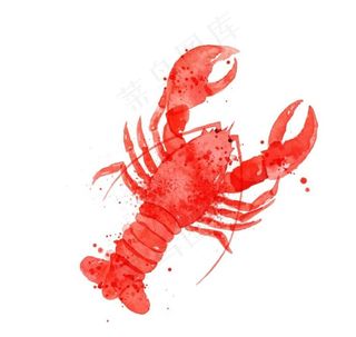 龙虾图片