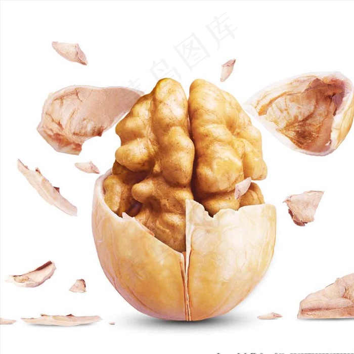 核桃图片psd模版下载