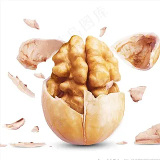 核桃图片 核桃图片