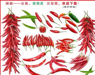 辣椒 红辣椒图片