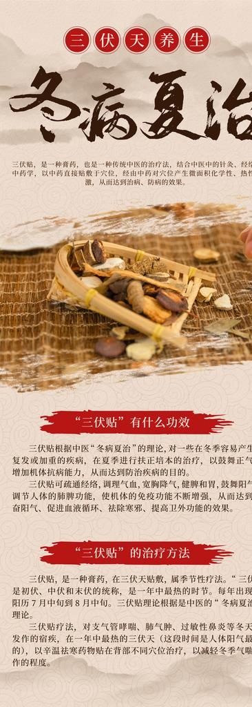 冬病夏治展架 三伏贴展架图片