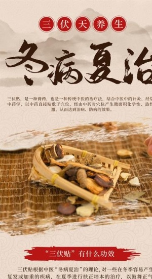 冬病夏治展架 三伏贴展架图片