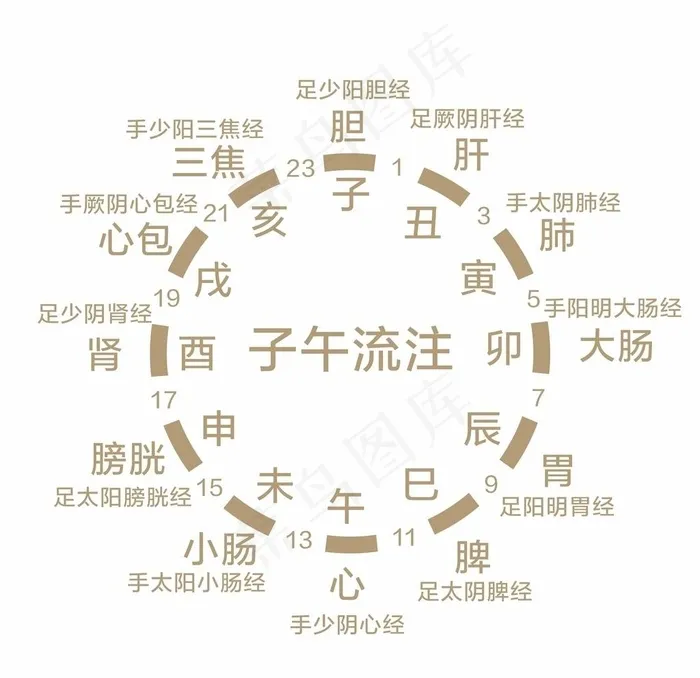 子午流注图片cdr矢量模版下载