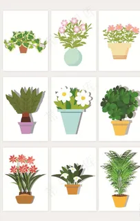 花盆图片 花盆图片