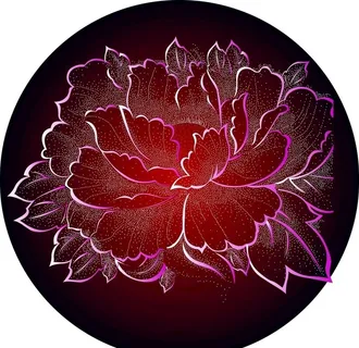 花图片 花图片
