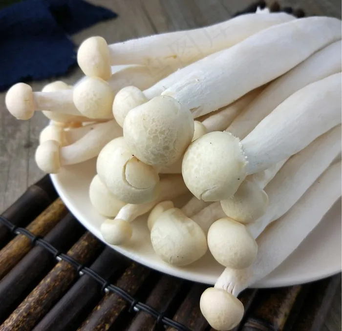 海鲜菇图片