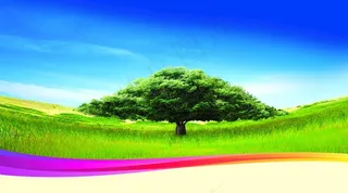 企业文化展板图片