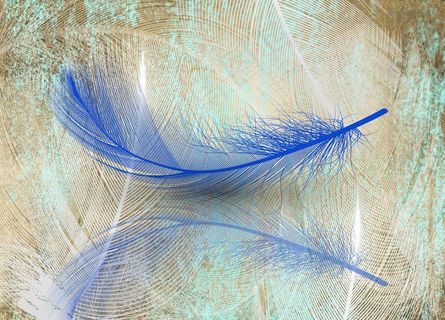 羽毛背景墙图片