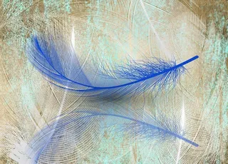 羽毛背景墙图片