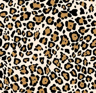 数码印花 女装 花型 循环图图片