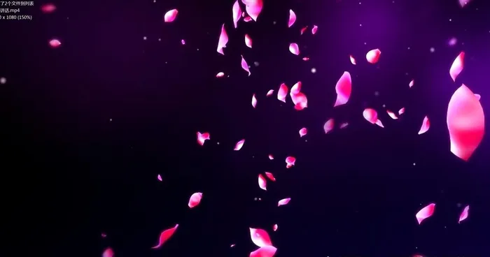 花瓣掉落高清视频