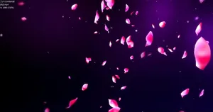 花瓣掉落高清视频