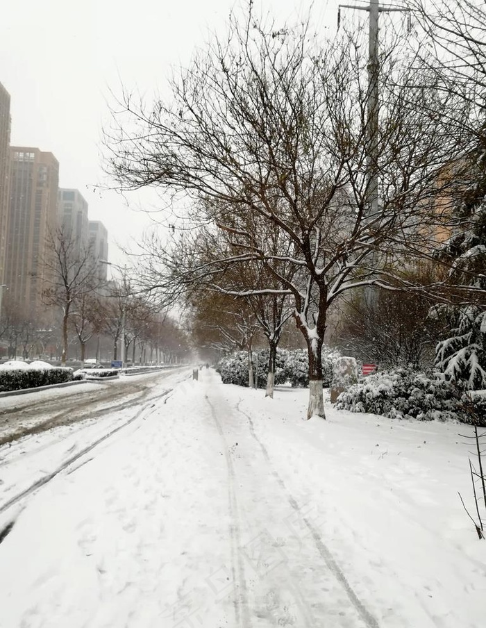 城市雪景图片