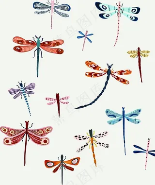 手绘  蜻蜓图片