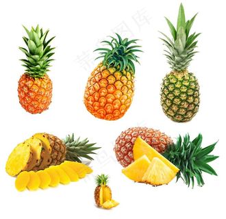 菠萝图片