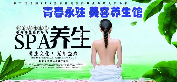 青春永驻美容养生馆图片psd模版下载
