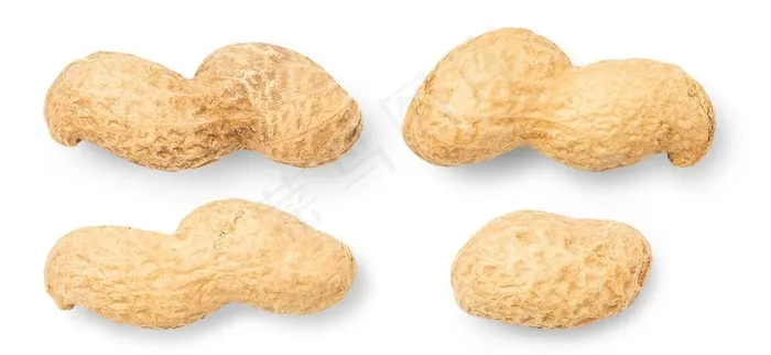 花生图片psd模版下载