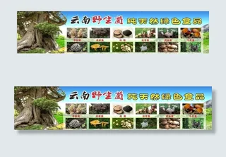 云南野生菌图片