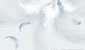 电视背景墙图片