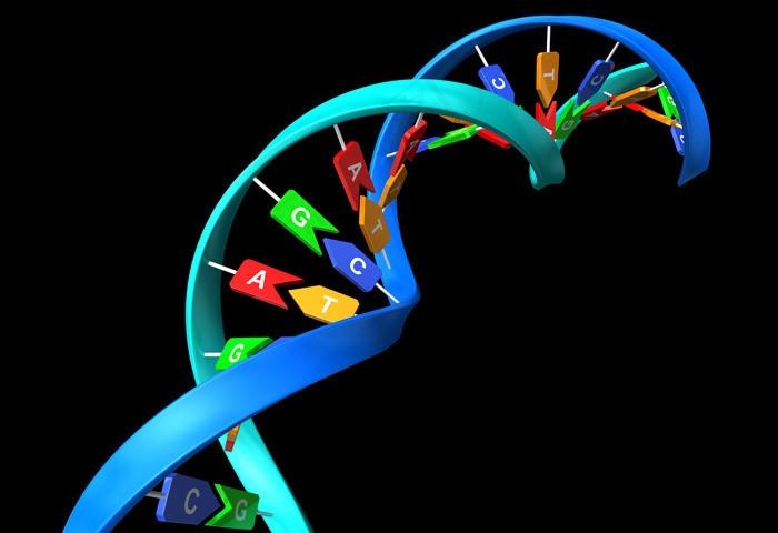 DNA 双螺旋图片