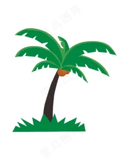 椰子树图片