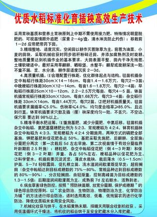 优质水稻标准化育插秧高效生产技图片