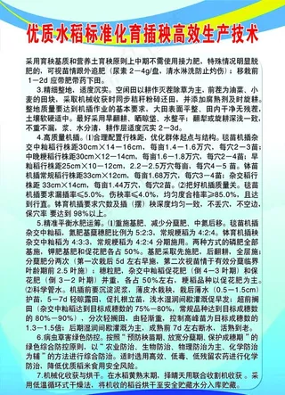 优质水稻标准化育插秧高效生产技图片