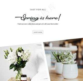 照片图片排版设计